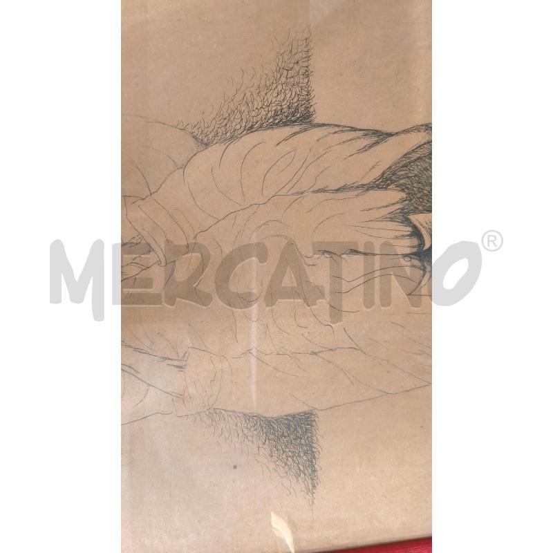 DISEGNO CHINA LA VECCHIA DI GORO CAVALLARI 73X53CM | Mercatino dell'Usato Modena 5