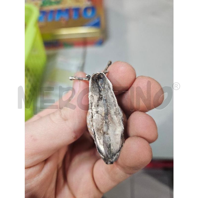 LUMACHINA DECORATIVA ### | Mercatino dell'Usato Modena 2