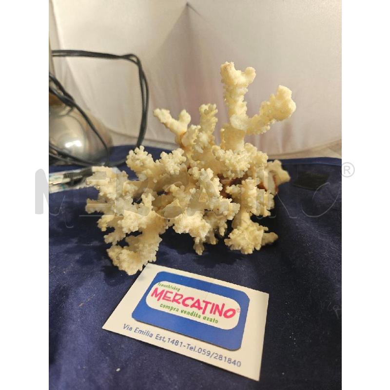 MINERALE BIANCO MARE | Mercatino dell'Usato Modena 1