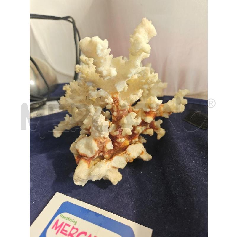 MINERALE BIANCO MARE | Mercatino dell'Usato Modena 2
