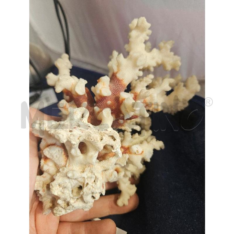 MINERALE BIANCO MARE | Mercatino dell'Usato Modena 3