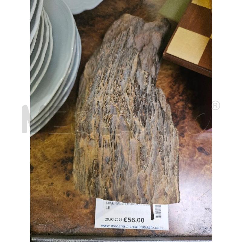 MINERALE TRONCO FOSSILE | Mercatino dell'Usato Modena 2