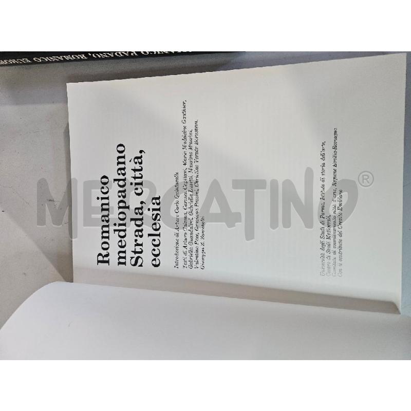 ROMANICO PADANO ROMANICO MEDIOPADANO 2 VOLUMI LIBRO ARTE | Mercatino dell'Usato Modena 4