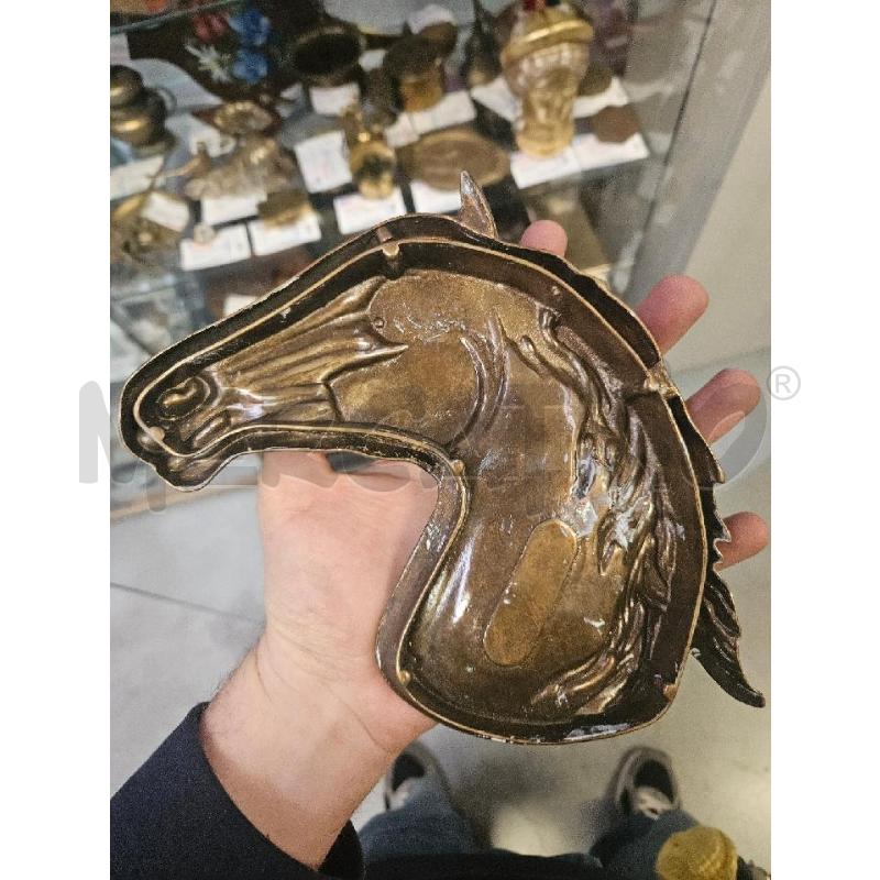 SVUOTA TASCHE OTT. TESTA CAVALLO | Mercatino dell'Usato Modena 3