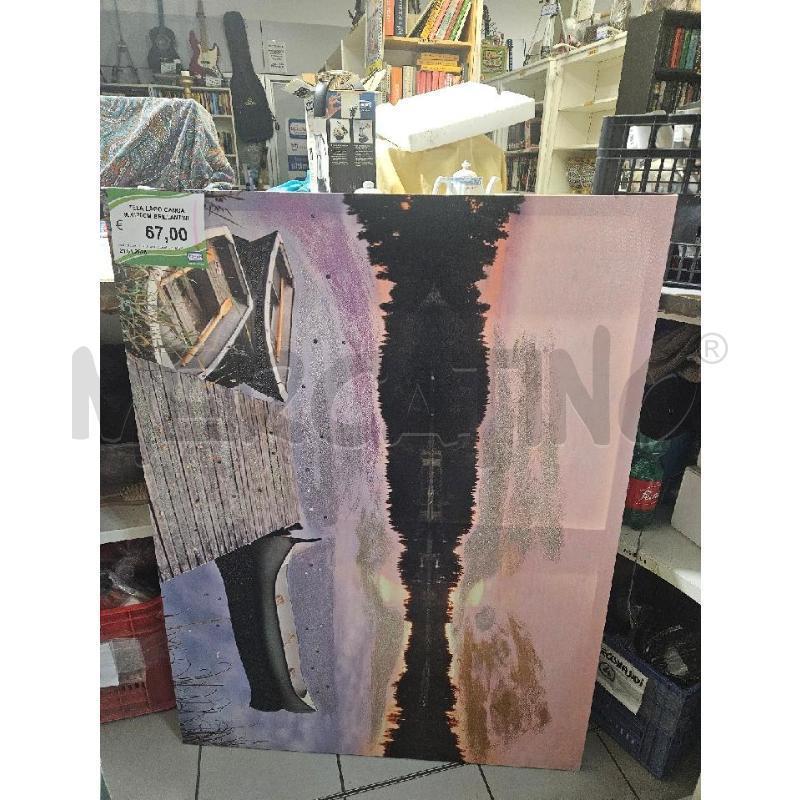 TELA LAGO CANOA 90X120CM BRILLANTINI | Mercatino dell'Usato Modena 1