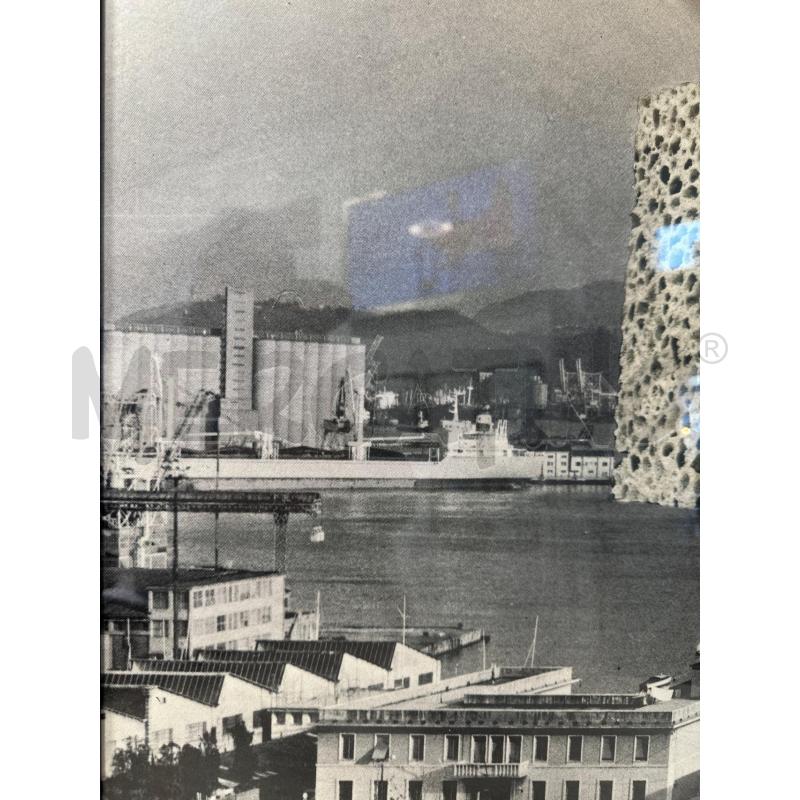 STAMPA PLESSI 27/90 | Mercatino dell'Usato Carrara 2