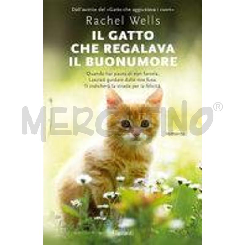 IL GATTO CHE REGALAVA IL BUONUMORE | Mercatino dell'Usato Napoli 1