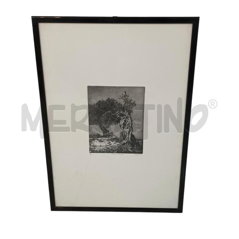 LITOGRAFIA BALSAMO FIUGURA ALBERO | Mercatino dell'Usato Napoli 1