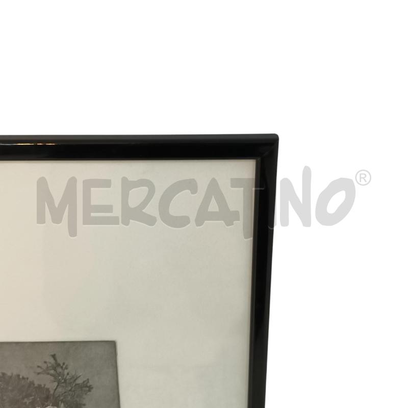 LITOGRAFIA BALSAMO FIUGURA ALBERO | Mercatino dell'Usato Napoli 2