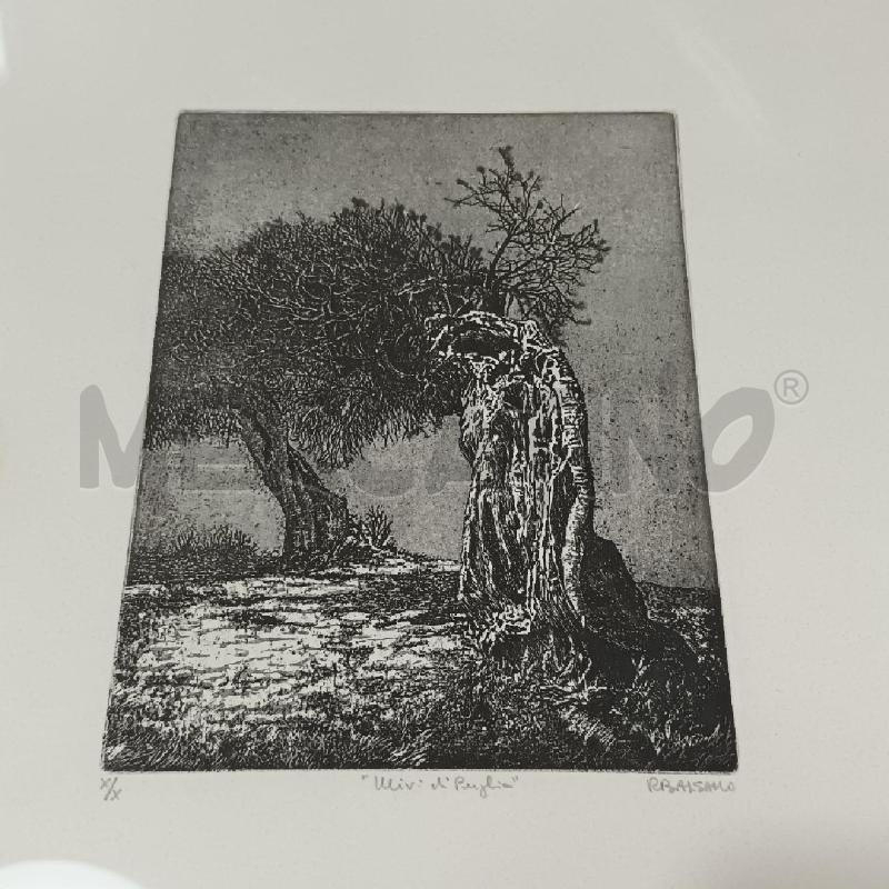LITOGRAFIA BALSAMO FIUGURA ALBERO | Mercatino dell'Usato Napoli 4