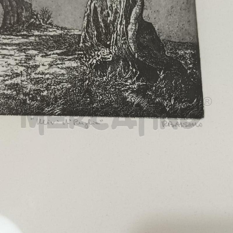 LITOGRAFIA BALSAMO FIUGURA ALBERO | Mercatino dell'Usato Napoli 5