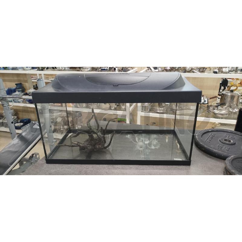 ACQUARIO NERO ALBERO | Mercatino dell'Usato Acerra 1