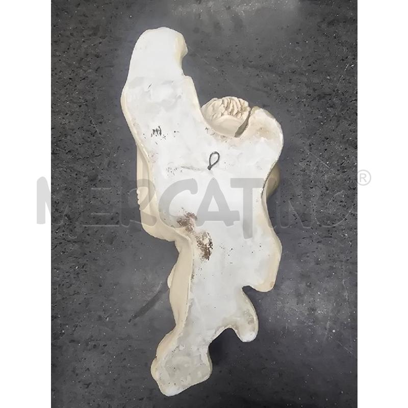 ANGIOLETTO BIANCO ALA DORATA  | Mercatino dell'Usato Acerra 2