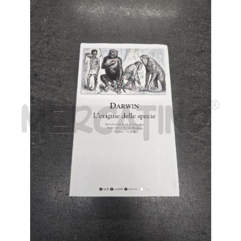 DARWIN | Mercatino dell'Usato Acerra 1