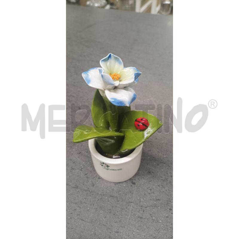 FIORE BLU COCCINELLA | Mercatino dell'Usato Acerra 1