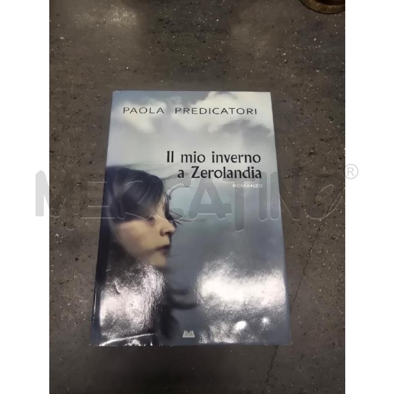 IL MIO INVERNO  ZEROLANDIA | Mercatino dell'Usato Acerra 1