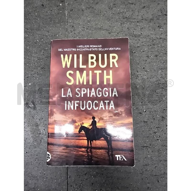 LA SPIAGGIA INFUOCATA | Mercatino dell'Usato Acerra 1