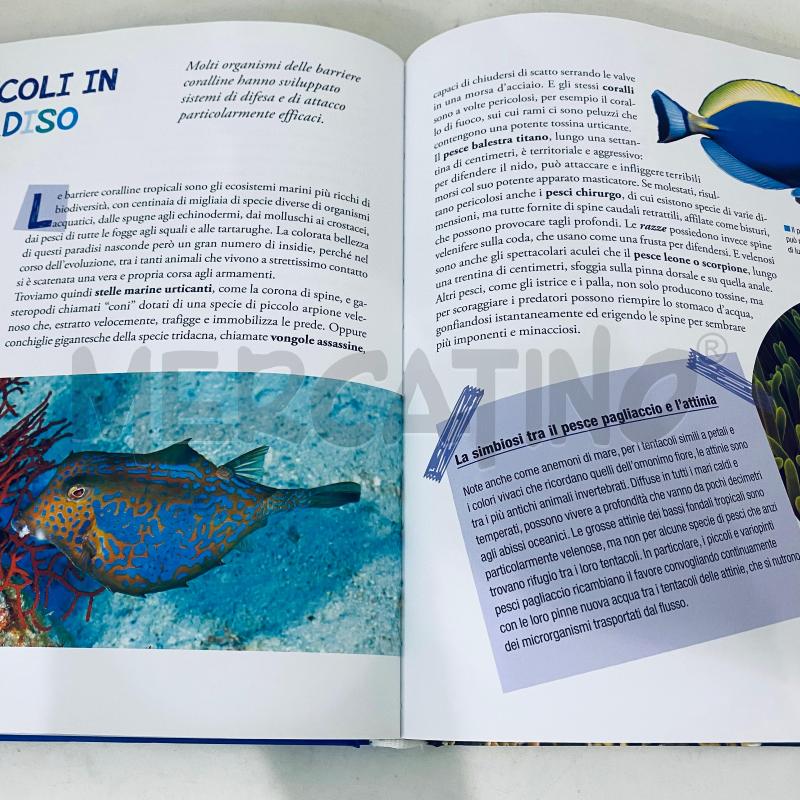 LE MERAVIGLIE DEL MARE | Mercatino dell'Usato Lago patria - giugliano in c. 5