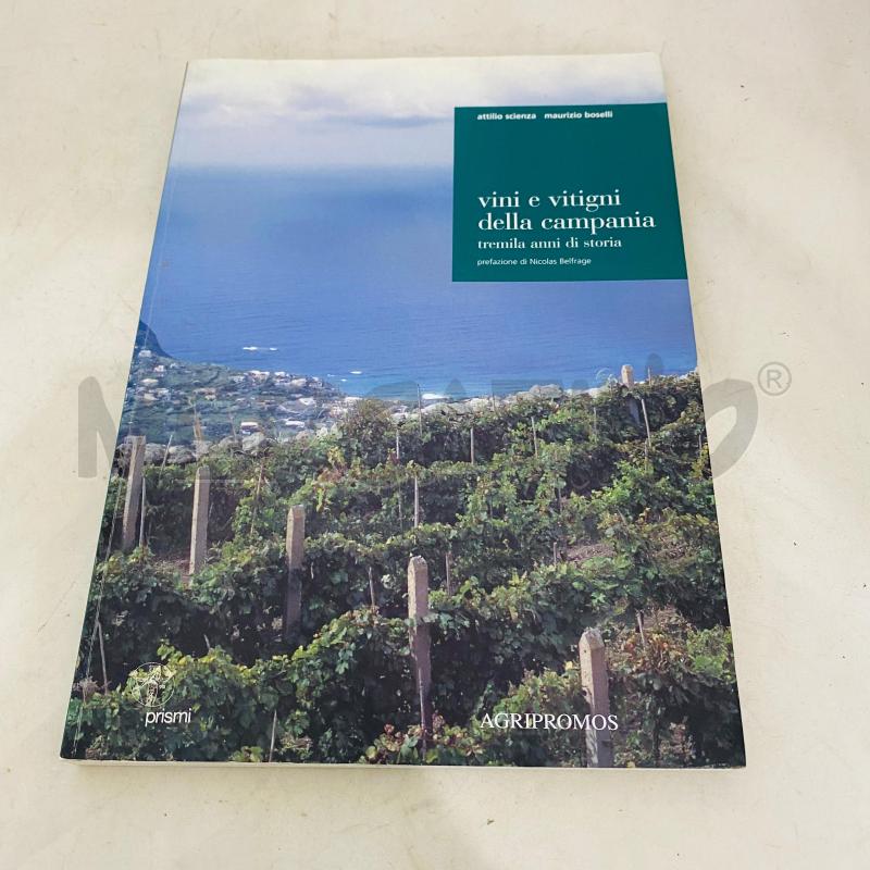 VINI E VITIGNI DELLA CAMPANIA TREMILA ANNI DI STORIA | Mercatino dell'Usato Lago patria - giugliano in c. 1
