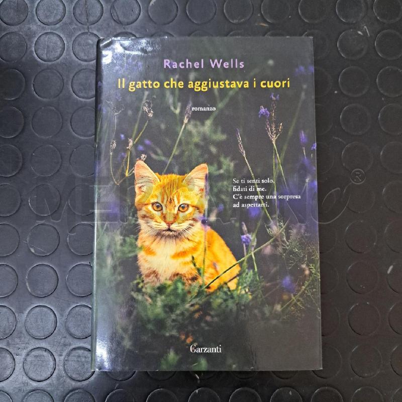 RACHEL WELLS - IL GATTO CHE AGGIUSTAVA I CUORI  | Mercatino dell'Usato Ottaviano 1