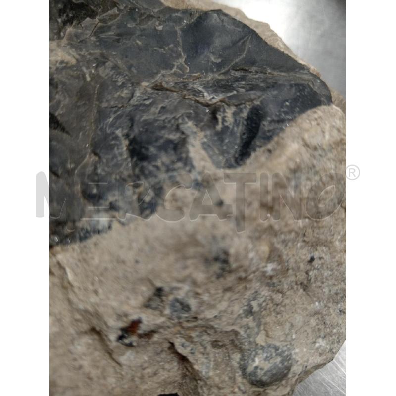 MINERALE | Mercatino dell'Usato Dormelletto 2