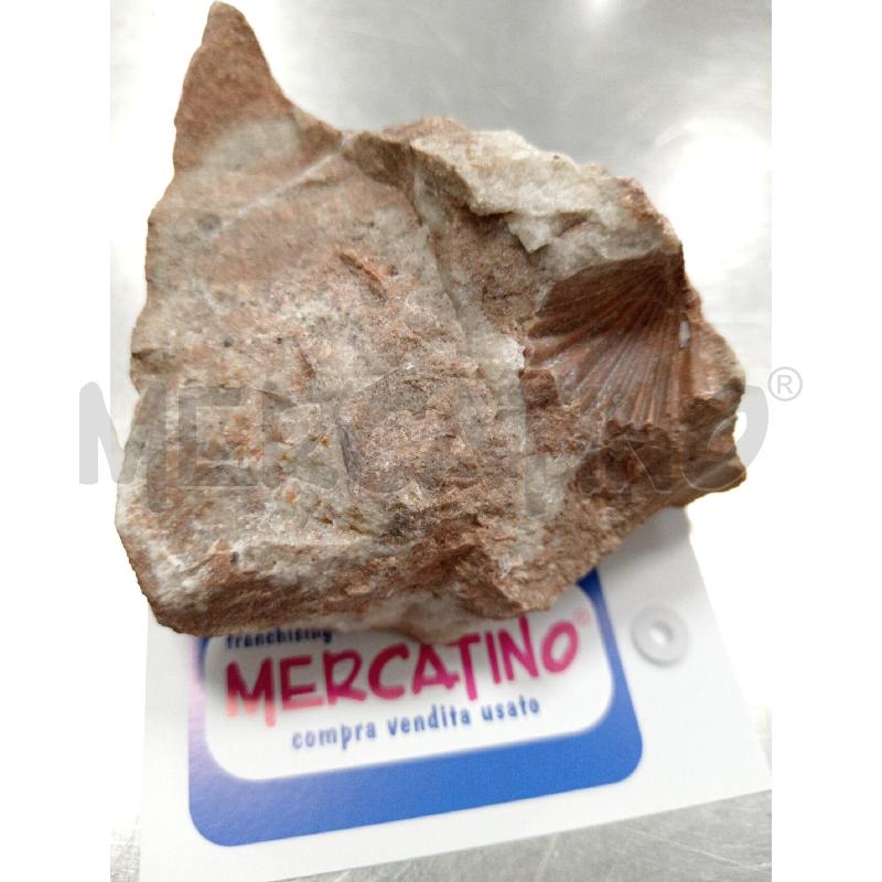 MINERALE CON IMPRONTA FOSSILE | Mercatino dell'Usato Dormelletto 1