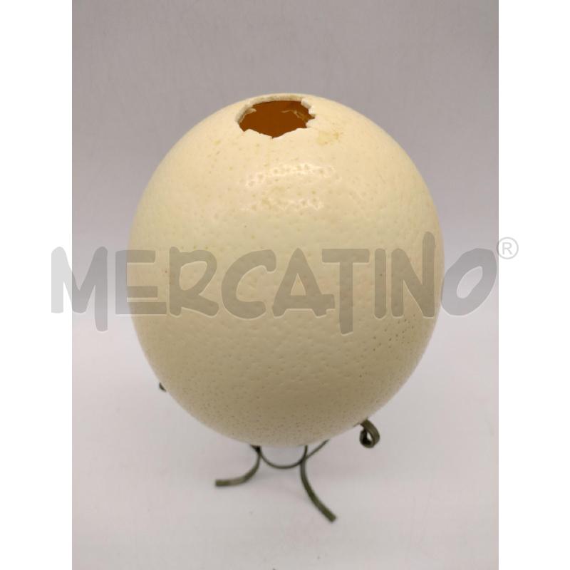 UOVO STRUZZO + SUPPORTO | Mercatino dell'Usato Oristano 3