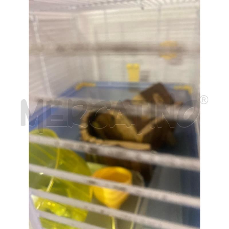 GABBIA CRICETO BASE CELESTE | Mercatino dell'Usato Montesilvano 2