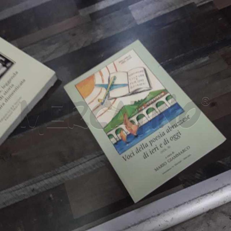 LIBRO ABRUZZO VOCI DELL POESIA | Mercatino dell'Usato Montesilvano 1