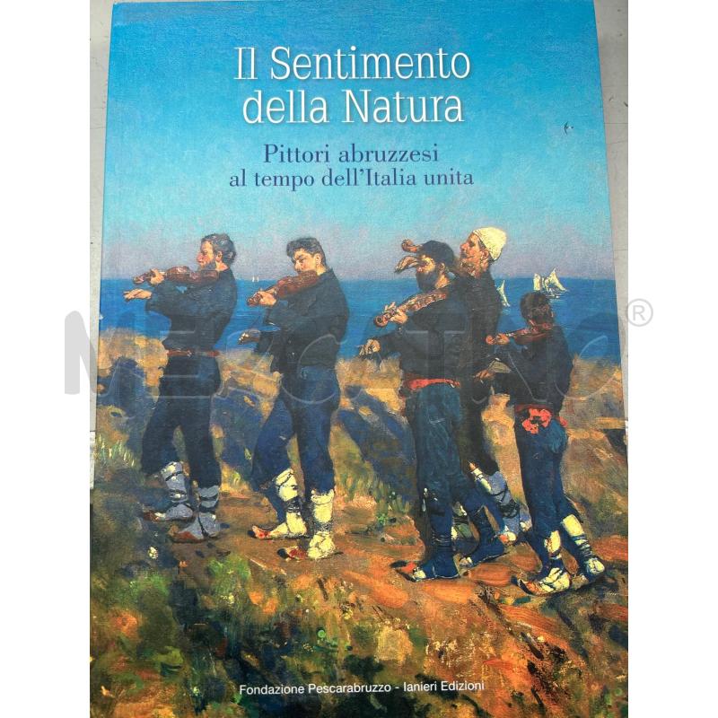 LIBRO IL SENTIMENTO DELLA NATURA PITTORI ABRUZZESI | Mercatino dell'Usato Montesilvano 1