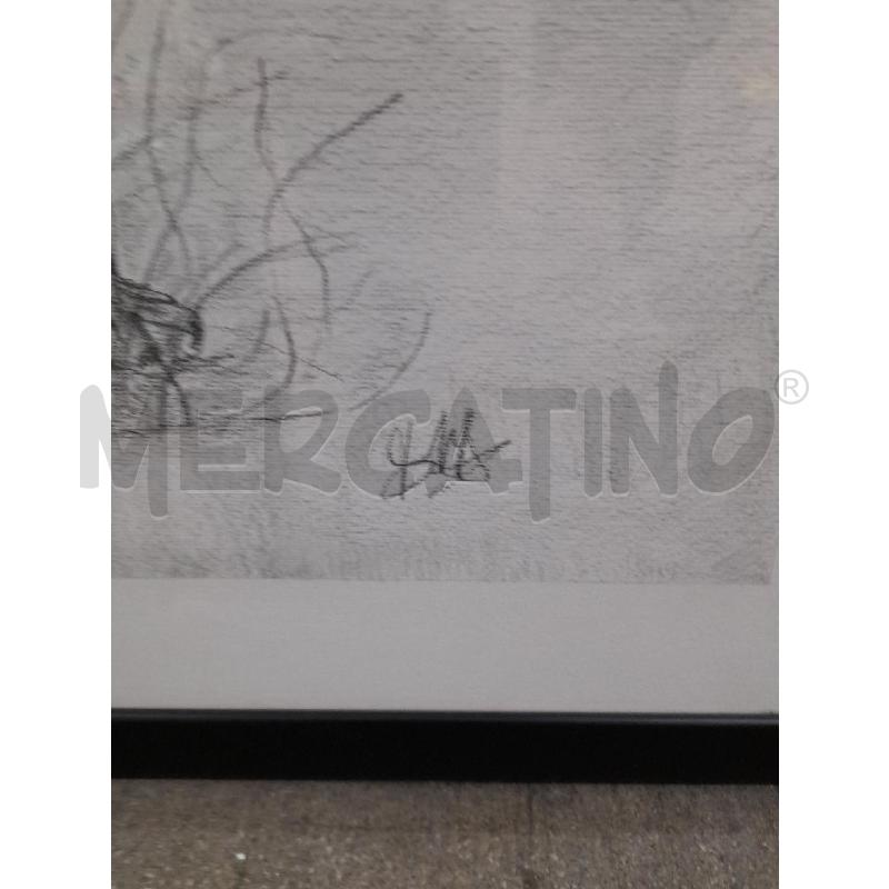 QUADRO AQUILA ANTONIO DEL MASTRO | Mercatino dell'Usato Montesilvano 2