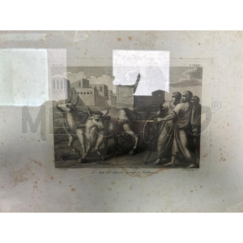 QUADRO STAMPA L'AREA DEL SIGNORE  | Mercatino dell'Usato Montesilvano 1