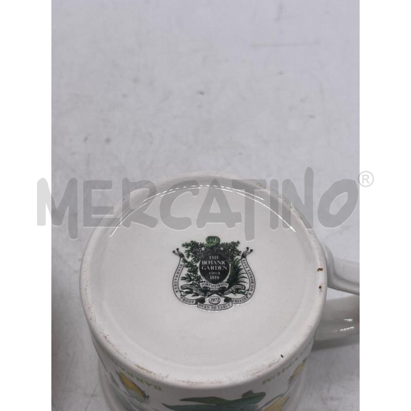 TAZZA THE BOTANIC GARDEN | Mercatino dell'Usato Montesilvano 3