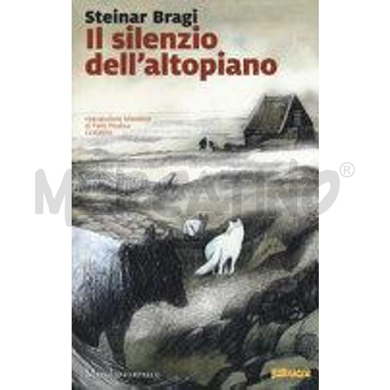 IL SILENZIO DELL'ALTOPIANO | Mercatino dell'Usato Perugia 1