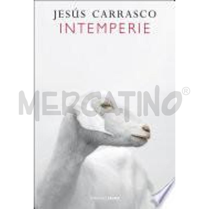 INTEMPERIE | Mercatino dell'Usato Perugia 1