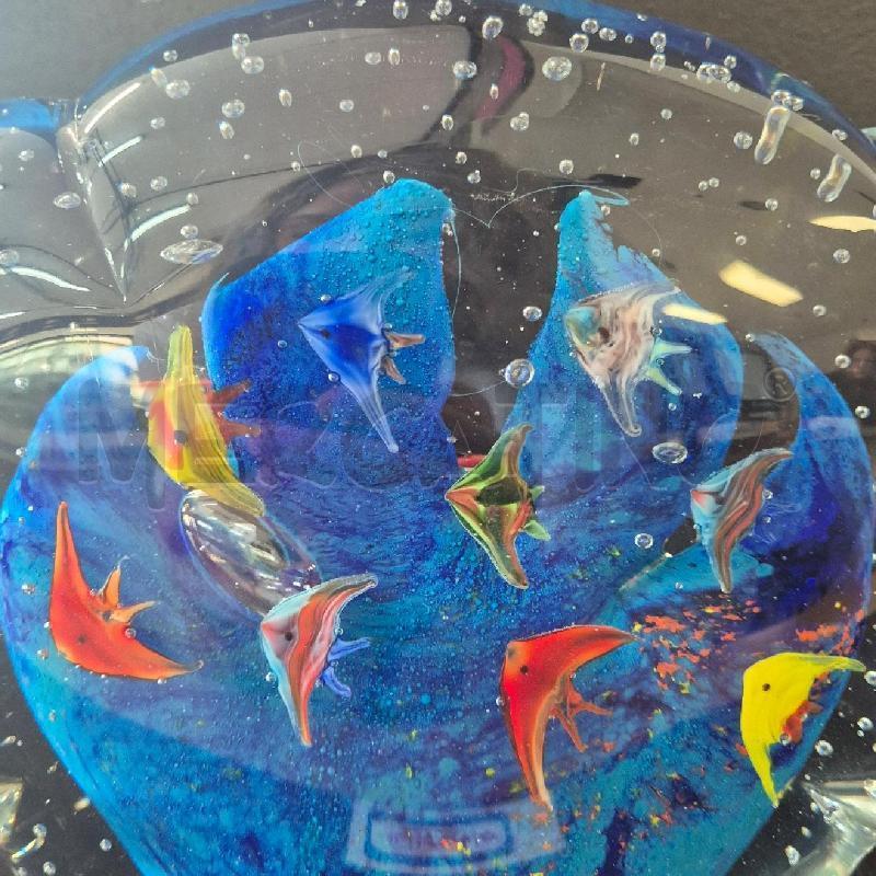 ACQUARIO VETRO PESCI CORALLO BLU | Mercatino dell'Usato Corciano 5