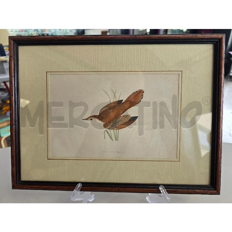 QUADRO UCCELLINO MARRONE | Mercatino dell'Usato Corciano 1