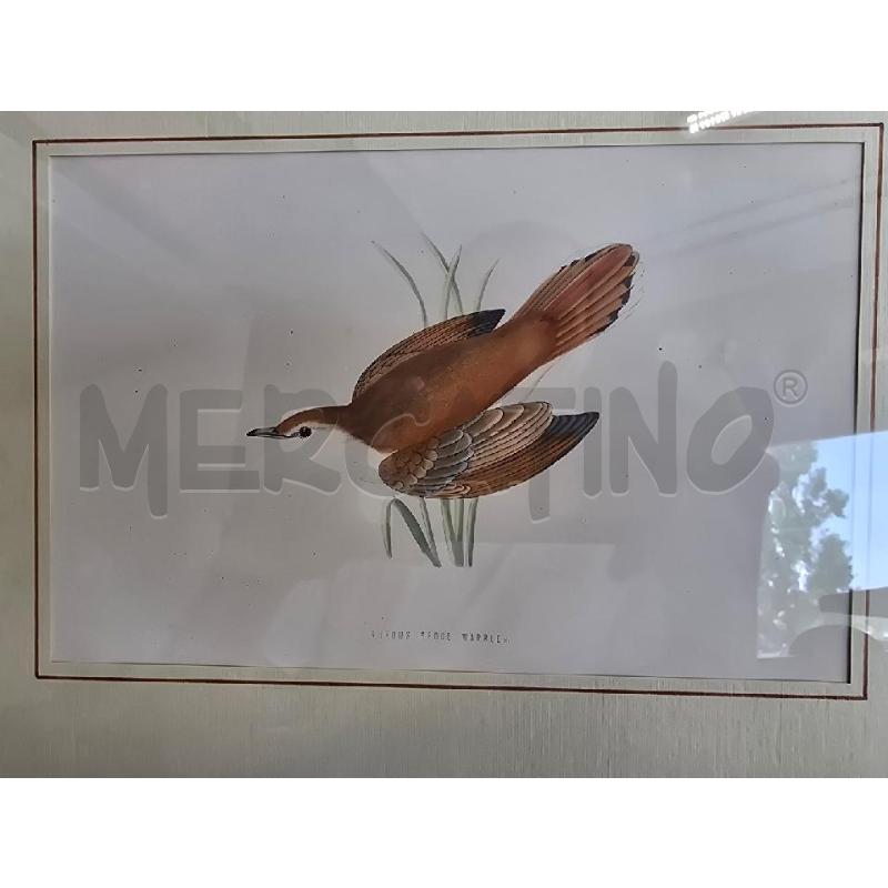 QUADRO UCCELLINO MARRONE | Mercatino dell'Usato Corciano 2
