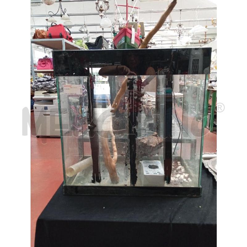 ACQUARIO  | Mercatino dell'Usato Montemurlo 1