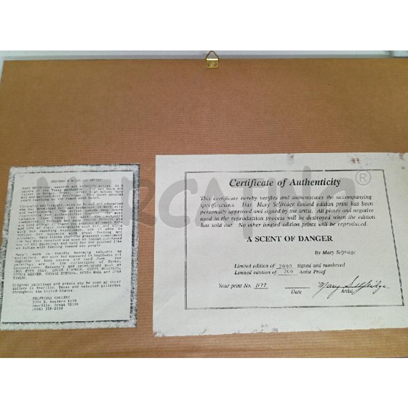QUADRO BUFFALO CON PUNATA DI FRECCIA | Mercatino dell'Usato Montemurlo 3