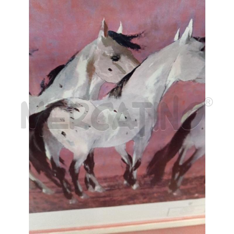 QUADRO RICARDO ARENYS CAVALLI | Mercatino dell'Usato Montemurlo 2