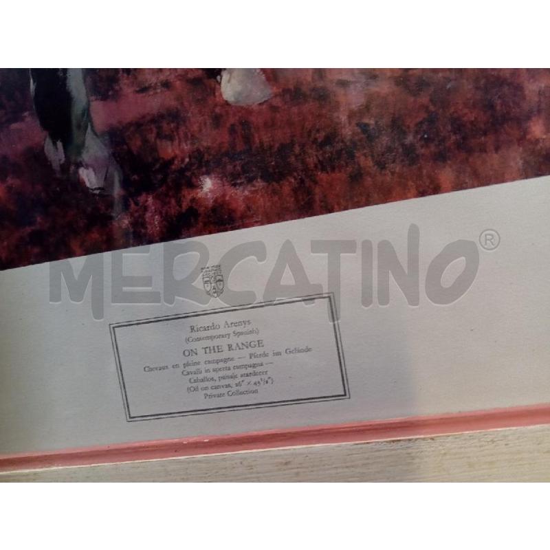 QUADRO RICARDO ARENYS CAVALLI | Mercatino dell'Usato Montemurlo 3