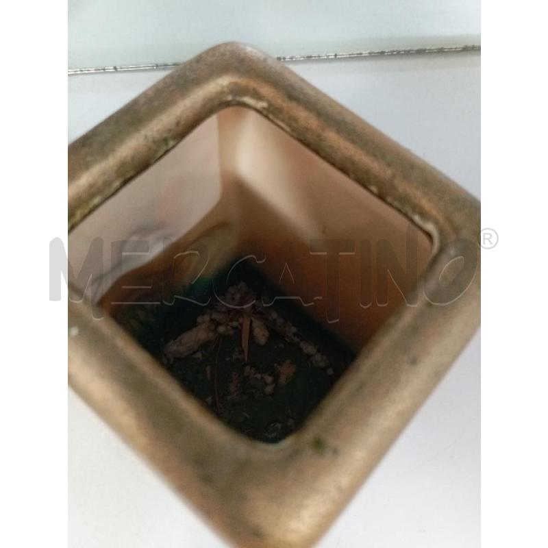 THUN VASO GIRASOLE | Mercatino dell'Usato Montemurlo 4
