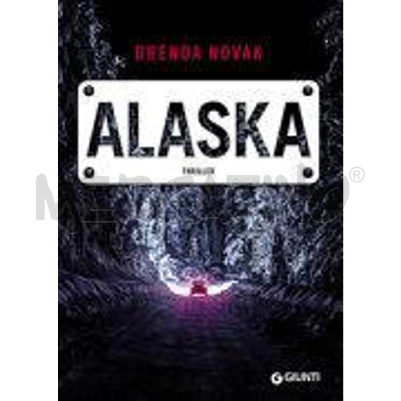 ALASKA | Mercatino dell'Usato Pavia 1