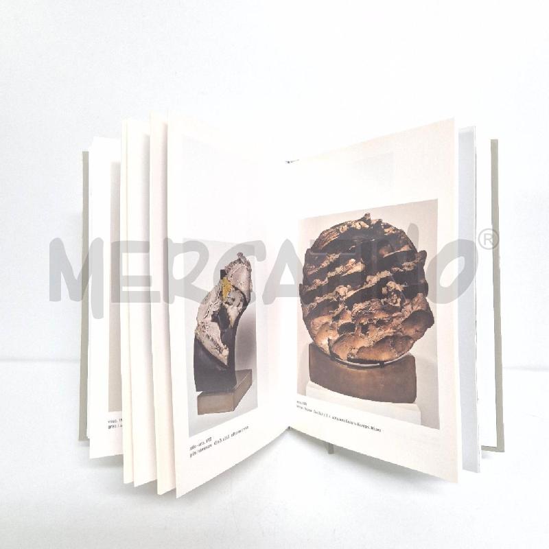 LIBRO CARLO ZAULI TERRA CHE RIVIVE DANILO MONTANARI EDITORE | Mercatino dell'Usato Cervia 3