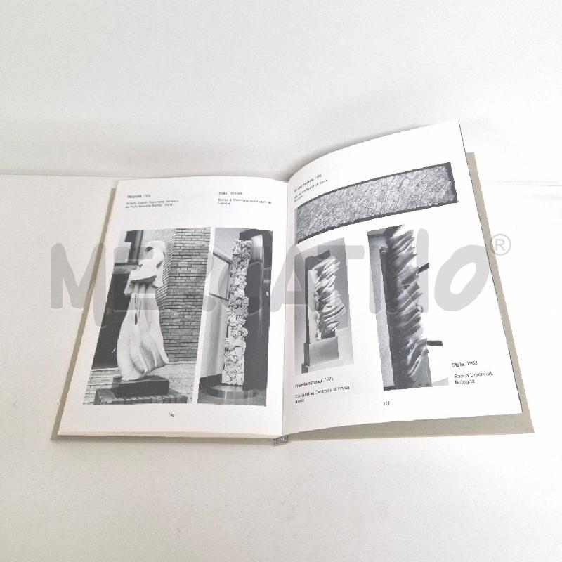 LIBRO CARLO ZAULI TERRA CHE RIVIVE DANILO MONTANARI EDITORE | Mercatino dell'Usato Cervia 4