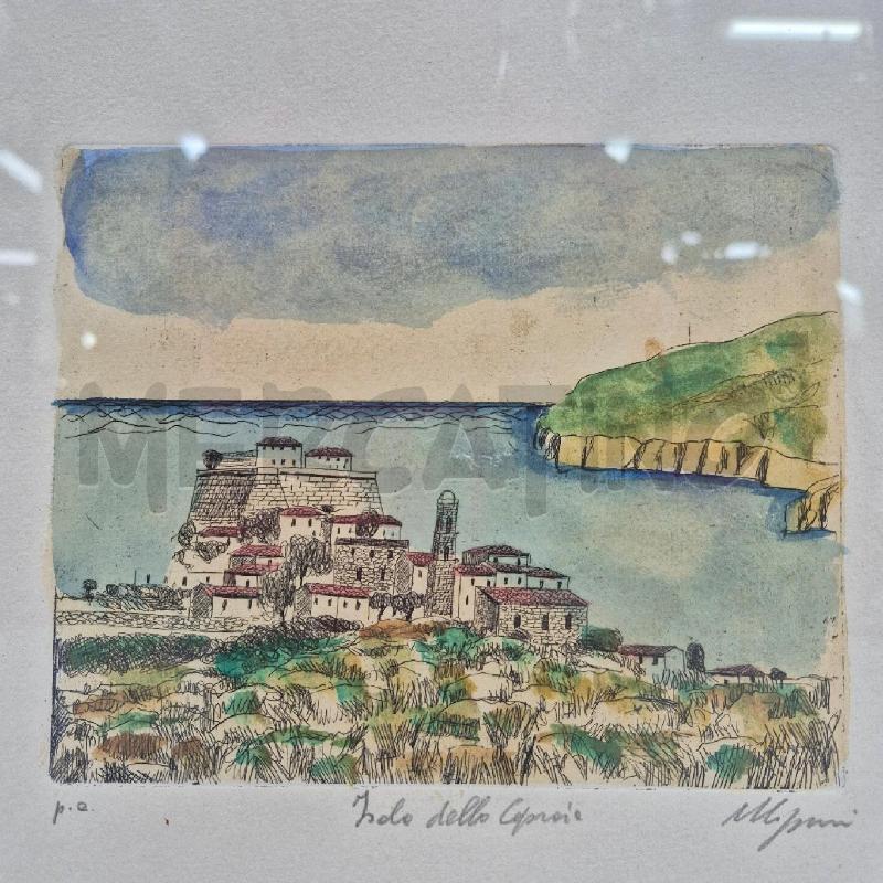 QUADRO ACQUAFORTE SALVATORE MAGAZZINI ISOLA DELLA CAPRAIA | Mercatino dell'Usato Cervia 2