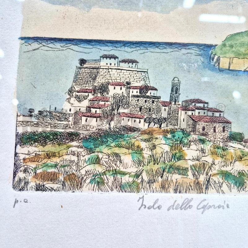 QUADRO ACQUAFORTE SALVATORE MAGAZZINI ISOLA DELLA CAPRAIA | Mercatino dell'Usato Cervia 4
