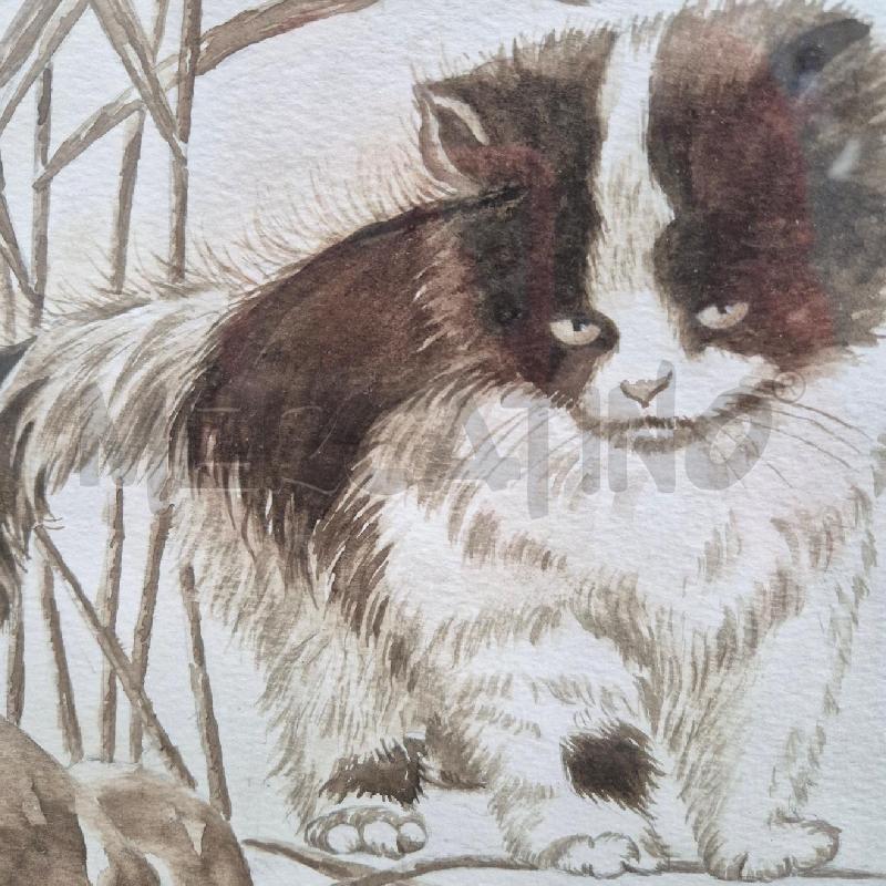 QUADRO GATTO PIANA GIORGIO | Mercatino dell'Usato Cervia 2