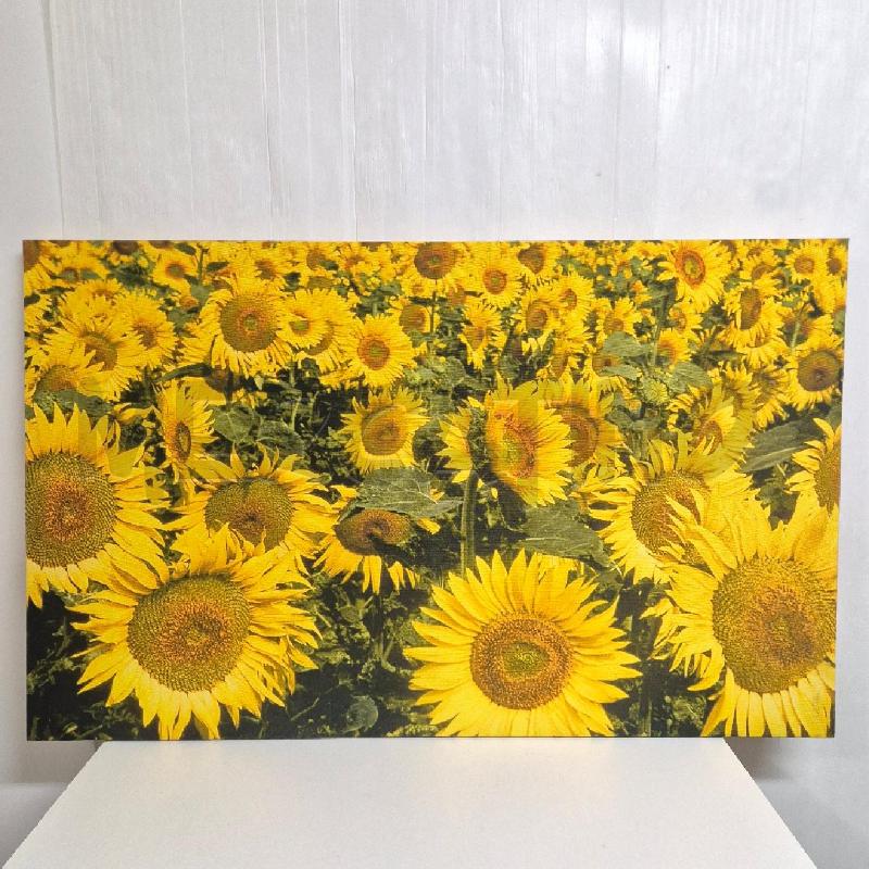 QUADRO GIRASOLE STOFFA | Mercatino dell'Usato Cervia 1